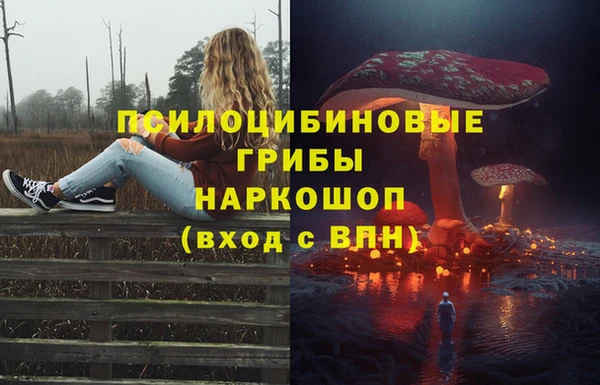 мескалин Новодвинск